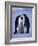 Weddell Sea, Riiser-Larsen Ice Shelf, Emperor Penguins and Chick, Antarctica-Allan White-Framed Photographic Print