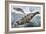 Weddell Seal (Leptonychotes Weddellii), Phocidae-null-Framed Giclee Print