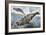 Weddell Seal (Leptonychotes Weddellii), Phocidae-null-Framed Giclee Print