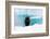 Weddell Seal Looking up out of the Water, Antarctica-Mint Images/ Art Wolfe-Framed Photographic Print