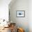 Weddell Seal Looking up out of the Water, Antarctica-Mint Images/ Art Wolfe-Framed Photographic Print displayed on a wall