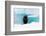 Weddell Seal Looking up out of the Water, Antarctica-Mint Images/ Art Wolfe-Framed Photographic Print