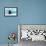 Weddell Seal Looking up out of the Water, Antarctica-Mint Images/ Art Wolfe-Framed Premier Image Canvas displayed on a wall