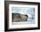 Weddell Seal Lying on Ice-DLILLC-Framed Photographic Print