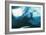 Weddell Seal-Doug Allan-Framed Photographic Print