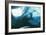 Weddell Seal-Doug Allan-Framed Photographic Print