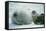Weddell Seals-Doug Allan-Framed Premier Image Canvas