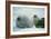 Weddell Seals-Doug Allan-Framed Photographic Print