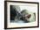 Weddell Seals-Doug Allan-Framed Photographic Print