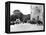 Wedding at Flete, C1882-null-Framed Premier Image Canvas