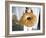 Wedding Bread, Crete, Greek Islands, Greece-Adam Tall-Framed Photographic Print