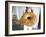 Wedding Bread, Crete, Greek Islands, Greece-Adam Tall-Framed Photographic Print