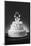 Wedding Cake-null-Mounted Photographic Print