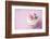 Wedding Cupcake-Ruth Black-Framed Photographic Print