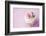 Wedding Cupcake-Ruth Black-Framed Photographic Print