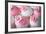 Wedding Cupcakes-Ruth Black-Framed Photographic Print