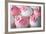 Wedding Cupcakes-Ruth Black-Framed Photographic Print