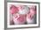 Wedding Cupcakes-Ruth Black-Framed Photographic Print