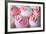 Wedding Cupcakes-Ruth Black-Framed Photographic Print