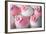 Wedding Cupcakes-Ruth Black-Framed Photographic Print