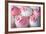 Wedding Cupcakes-Ruth Black-Framed Photographic Print