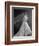 Wedding Dress, 1953-John French-Framed Giclee Print