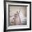 Wedding Dresses-null-Framed Giclee Print