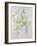 Wedding Flowers for Louisa and Robert, 1993-Alison Cooper-Framed Giclee Print