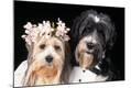 Premium Photographic Print
