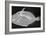 Wedge-Tail Triggerfish-Sandra J. Raredon-Framed Premium Giclee Print