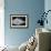 Wedge-Tail Triggerfish-Sandra J. Raredon-Framed Premium Giclee Print displayed on a wall