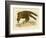 Wedge-Tailed Eagle, 1891-Gracius Broinowski-Framed Giclee Print