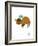 Wee Alphas, Biki the Buffalo-Wee Society-Framed Giclee Print