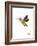 Wee Alphas, Hai the Hummingbird-Wee Society-Framed Giclee Print