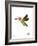 Wee Alphas, Hai the Hummingbird-Wee Society-Framed Giclee Print