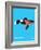 Wee Dinos, Mosasaurus-Wee Society-Framed Art Print