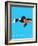 Wee Dinos, Mosasaurus-Wee Society-Framed Art Print