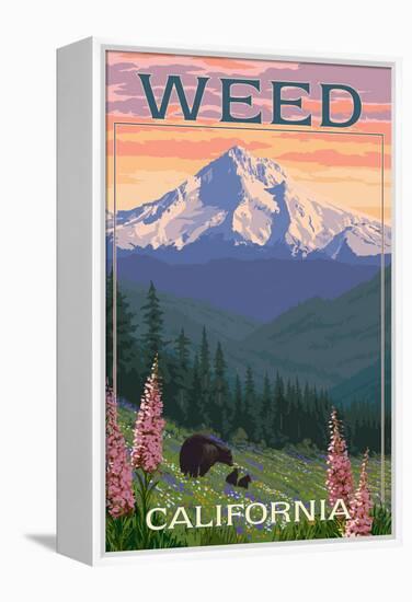 Weed, California - Bear and Spring Flowers-Lantern Press-Framed Stretched Canvas