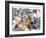 Weekly Market in Bati, the Largest Outside Addis Ababa, Northern Highlands, Ethiopia, Africa-Tony Waltham-Framed Photographic Print