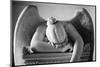 Weeping Angel 2-John Gusky-Mounted Photographic Print