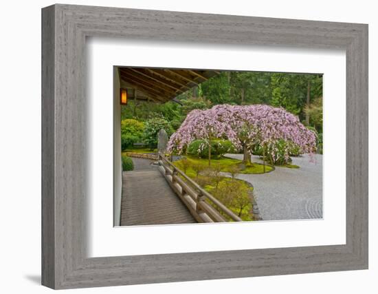 Weeping Cherry, Pavilion, Portland Japanese Garden, Portland, Oregon-Michel Hersen-Framed Photographic Print