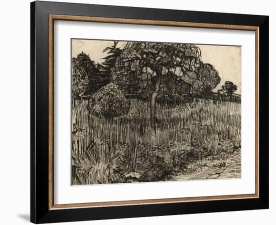 Weeping Tree, 1889-Vincent van Gogh-Framed Giclee Print