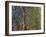 Weeping Willow, 1918-19-Claude Monet-Framed Giclee Print