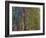 Weeping Willow, 1918-19-Claude Monet-Framed Giclee Print