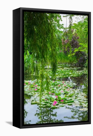 Weeping Willow and Waterlilies, Monet's Garden, Giverny, Normandy, France, Europe-James Strachan-Framed Premier Image Canvas