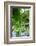 Weeping Willow and Waterlilies, Monet's Garden, Giverny, Normandy, France, Europe-James Strachan-Framed Photographic Print