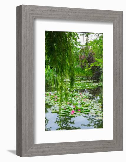 Weeping Willow and Waterlilies, Monet's Garden, Giverny, Normandy, France, Europe-James Strachan-Framed Photographic Print