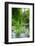 Weeping Willow and Waterlilies, Monet's Garden, Giverny, Normandy, France, Europe-James Strachan-Framed Photographic Print