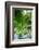 Weeping Willow and Waterlilies, Monet's Garden, Giverny, Normandy, France, Europe-James Strachan-Framed Photographic Print