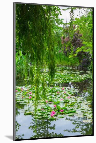 Weeping Willow and Waterlilies, Monet's Garden, Giverny, Normandy, France, Europe-James Strachan-Mounted Photographic Print